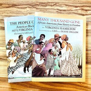 American Black Folktales HC People Could Fly Many Thousand Gone Virgina Hamilton